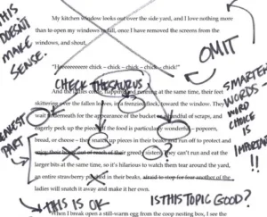 Common App Essay Prompts