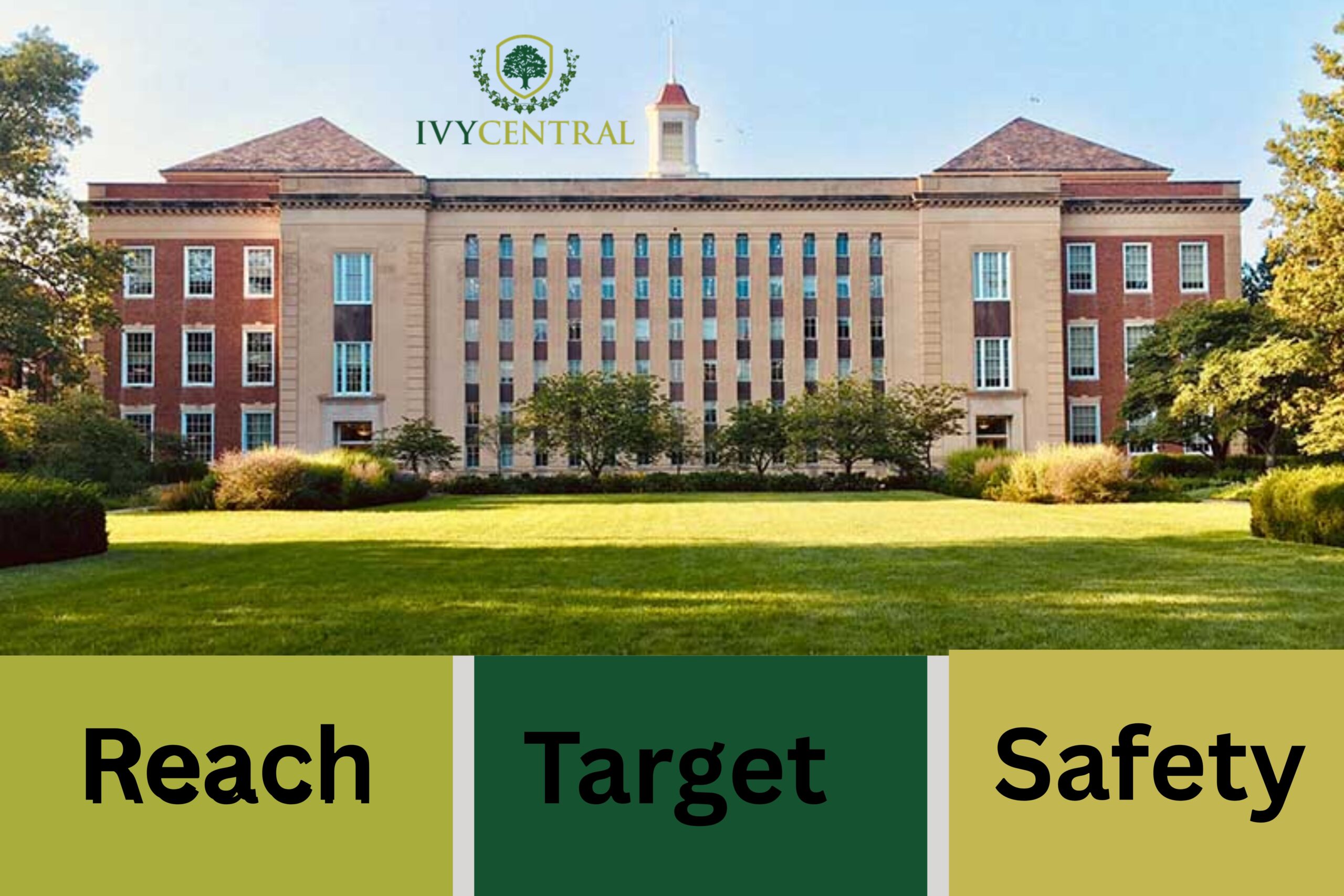 Reach, Target and Safety